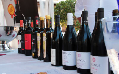 MGWinesGroup con Pass Campoamor